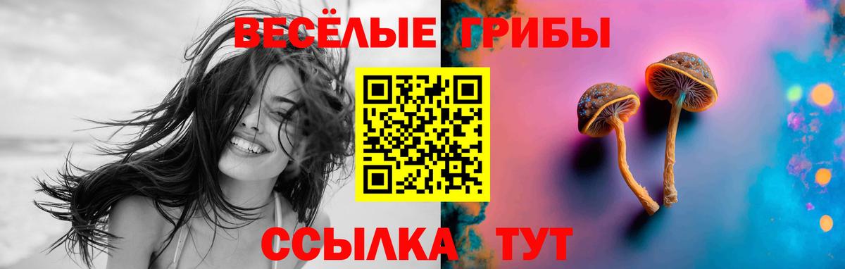 Канск  Галлюциногенные грибы прущие грибы  Вход с VPN 