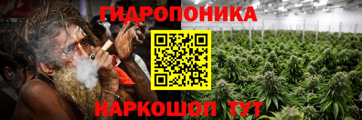 Бошки марихуана SATIVA & INDICA  Канабис VHQ  Бошки марихуана сатива  Канск  Вход с VPN 